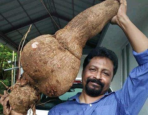 14.50 കിലോ ഭാരമുള്ള കപ്പയുമായി പയസ് / ഫേയ്സ്ബുക്ക്