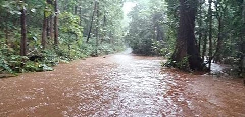 അച്ചന്‍കോവിലാര്‍