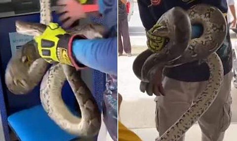 ഫോട്ടോ: സോഷ്യൽ മീഡിയ