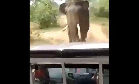 കാറിനെ പിന്തുടരുന്ന കാട്ടാന