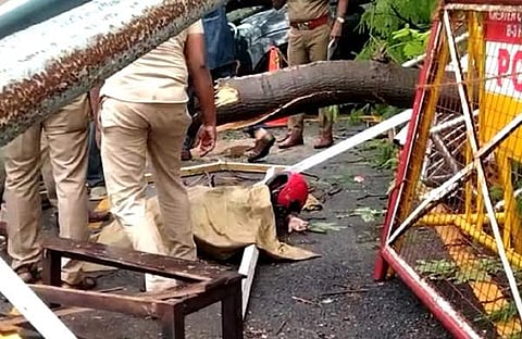 മരം വീണുണ്ടായ അപകടത്തിന്റെ ദൃശ്യം/ട്വിറ്റര്‍