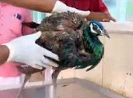 ടെലിവിഷൻ ദൃശ്യം