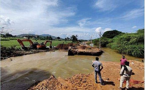 ഫോട്ടോ: ട്വിറ്റർ