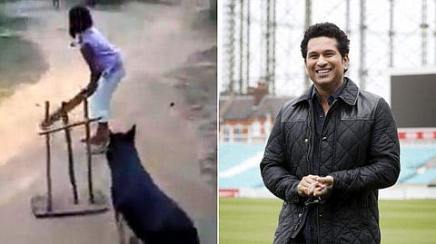 മികച്ച വിക്കറ്റ് കീപ്പറും ഫീൽഡറുമാണ് ഈ 'നായ!' പന്ത് പിടിക്കുന്നതിൽ അപാര കഴിവുള്ള ആളെന്ന് സച്ചിൻ (വീഡിയോ)