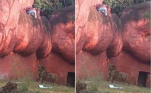 വിഡിയോ സ്ക്രീൻഷോട്ട്