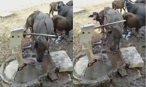 വിഡിയോ സ്ക്രീൻഷോട്ട്