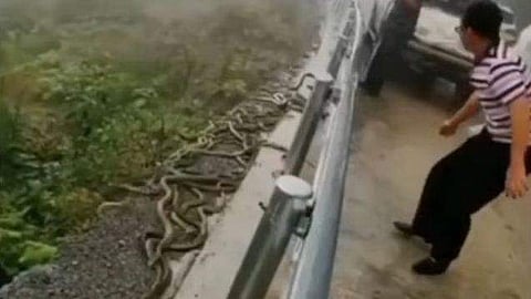 വിഡിയോ സ്ക്രീൻഷോട്ട്