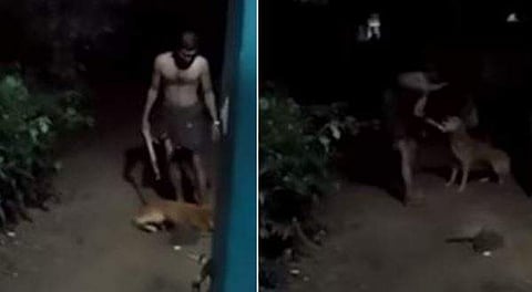 ടെലിവിഷൻ ദൃശ്യം