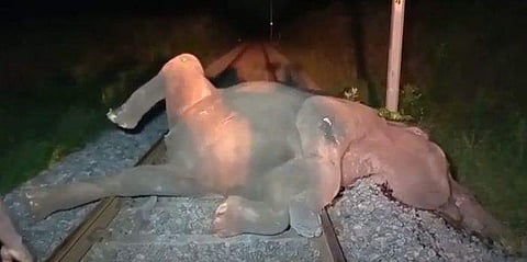 വിഡിയോ ദൃശ്യം