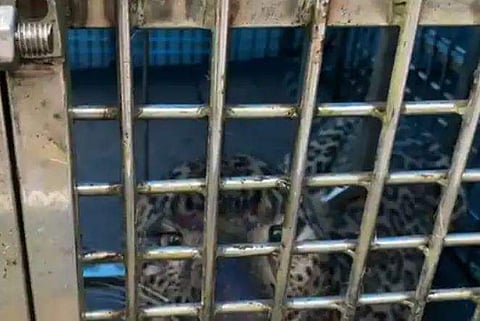 ടെലിവിഷൻ ദൃശ്യം