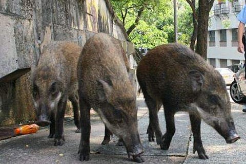 പ്രതീകാത്മക ചിത്രം