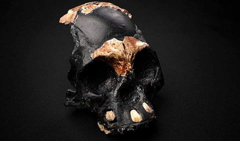 ഫോട്ടോ: ട്വിറ്റർ