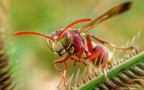 പ്രതീകാത്മക ചിത്രം