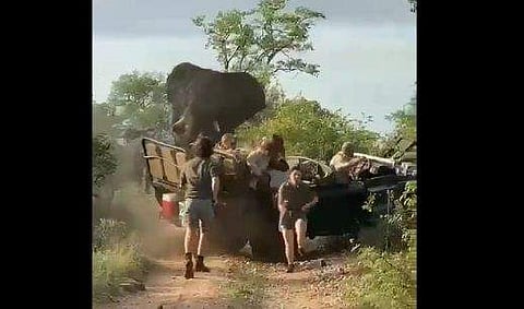 കൊമ്പനാനയുടെ ആക്രമണം ഭയന്ന് ജീപ്പില്‍ നിന്ന് ഇറങ്ങിയോടുന്ന വിനോദസഞ്ചാരികള്‍