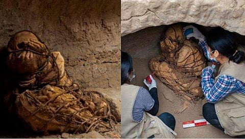 ചിത്രം: ഫേസ്ബുക്ക്