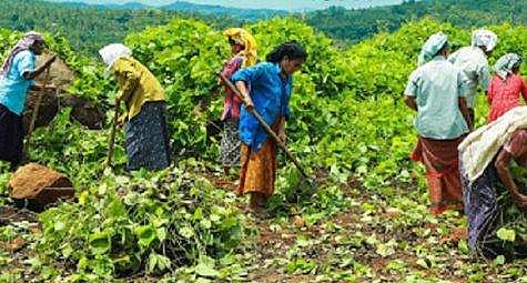 മുഖ്യമന്ത്രി പിണറായി വിജയന്‍ ഫെയ്‌സ്ബുക്കില്‍ പങ്കുവെച്ച ചിത്രം