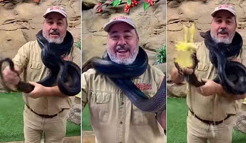 വീഡിയോ ദൃശ്യം