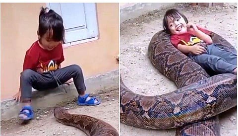 വീഡിയോ ദൃശ്യം