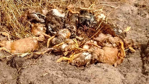 പ്രതീകാത്മക ചിത്രം