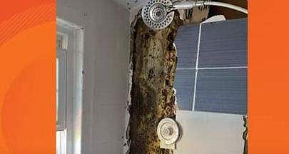 ബാത്ത്‌റൂമിലെ ടൈലിന്റെ പിന്നിലുള്ള പടുകൂറ്റന്‍ തേനീച്ചക്കൂട്