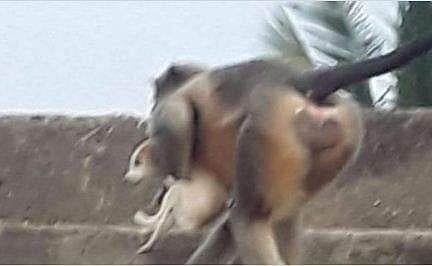 ചിത്രം ട്വിറ്റര്‍