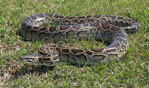 പ്രതീകാത്മക ചിത്രം