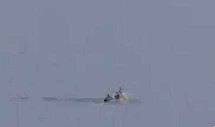 റെയിന്‍ഡീറിനെ ആക്രമിക്കുന്ന ധ്രുവക്കരടി