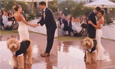 വിഡിയോ സ്ക്രീൻഷോട്ട്