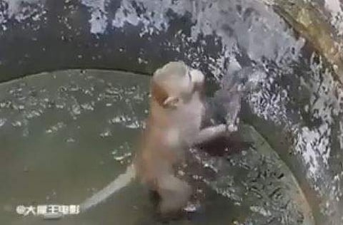 വിഡിയോ ദൃശ്യം