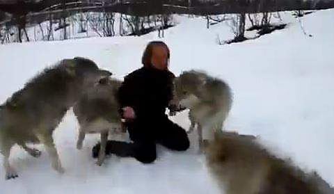 യുവതിയെ സ്‌നേഹം കൊണ്ട് പൊതിയുന്ന ചെന്നായ്ക്കൂട്ടം