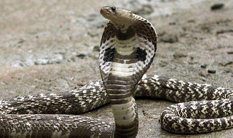 പ്രതീകാത്മക ചിത്രം