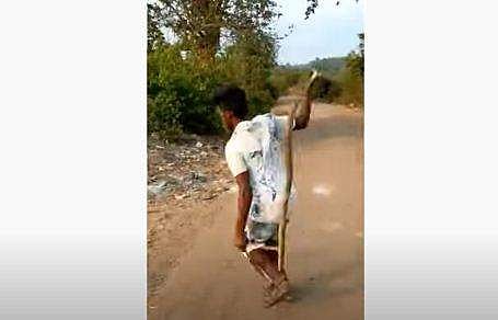 പാമ്പിനെ സ്‌കിപ്പിങ് റോപ്പാക്കി ചാടുന്ന യുവാവ്