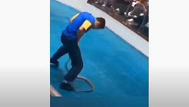 യുവാവിനെ പാമ്പ് ആക്രമിക്കുന്ന ദൃശ്യം