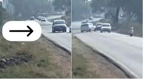 വീഡിയോ ദൃശ്യം