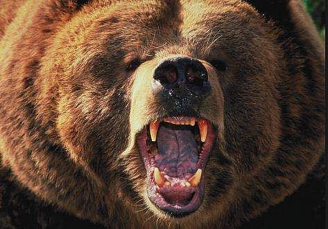 പ്രതീകാത്മക ചിത്രം