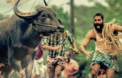 ജല്ലിക്കട്ട്