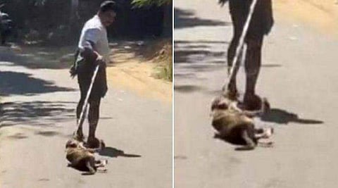 ചിത്രം/ ഫെയ്സ്ബുക്ക്