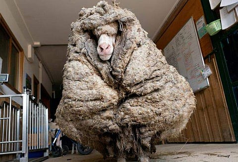 ബരാക്ക്/ ട്വിറ്റർ