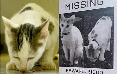 വിഡിയോ സ്ക്രീൻഷോട്ട്