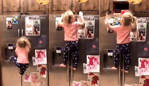 വിഡിയോ സ്ക്രീൻഷോട്ട്