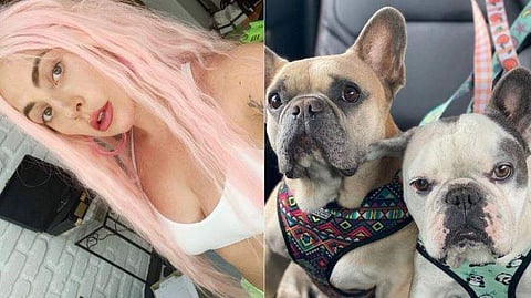 ലേഡി ഗാഗ, മോഷണം പോയ വളർത്തു നായ്ക്കൾ/ ഇൻസ്റ്റ​ഗ്രാം