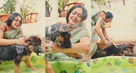 പട്ടിക്കുഞ്ഞുങ്ങളെ കുളിപ്പിക്കുന്ന ശോഭന/ വിഡിയോ സ്ക്രീൻഷോട്ട്