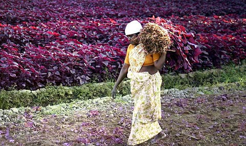 ഫയല്‍ ചിത്രം