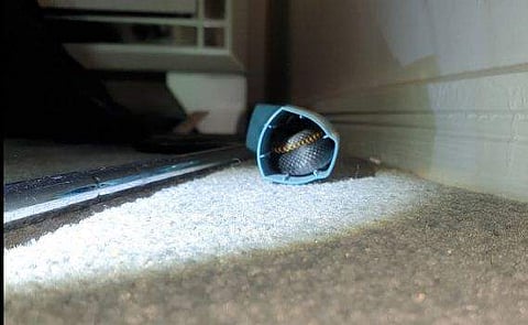 ഇന്‍ഹേലറില്‍ പതുങ്ങിയിരുന്ന വിഷപ്പാമ്പ്‌