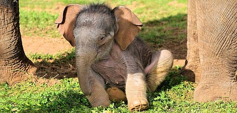 പ്രതീകാത്മക ചിത്രം