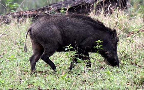 പ്രതീകാത്മക ചിത്രം