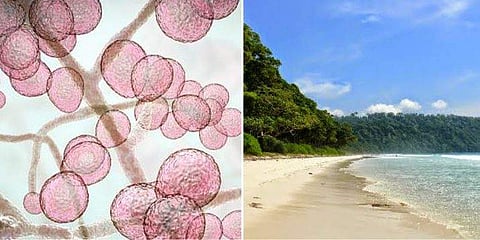 പ്രതീകാത്മക ചിത്രം