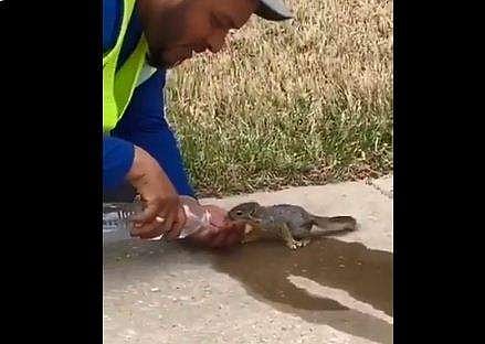 അണ്ണാന്‍ കുഞ്ഞിന് വെള്ളം കുടിക്കുന്ന യുവാവ്‌