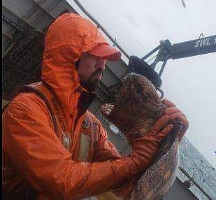 വലയില്‍ കുടുങ്ങിയ വിചിത്ര മത്സ്യം