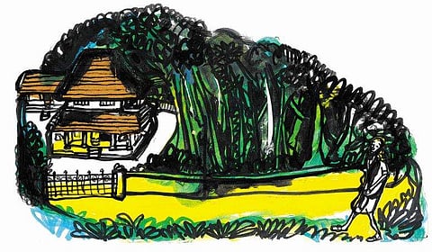 ചിത്രീകരണം - സചീന്ദ്രന്‍ കാറഡുക്ക